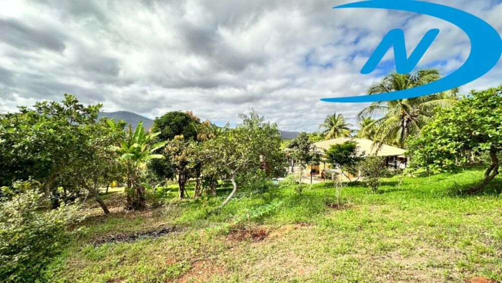 Sítio à venda com 7 quartos, 3m² - Foto 4
