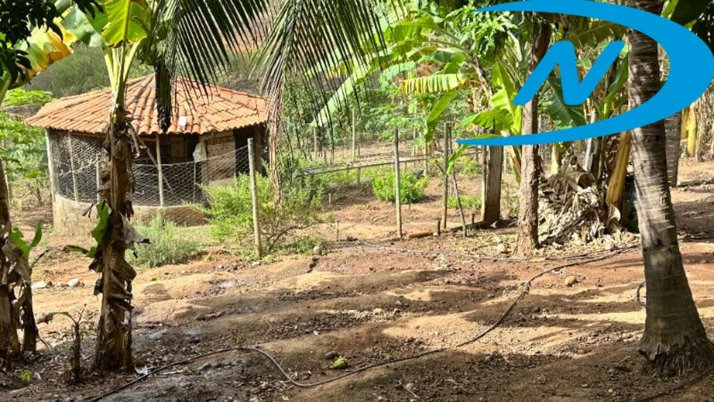 Sítio, 7 quartos, 3 m² - Foto 14