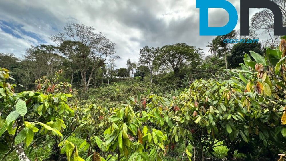 Fazenda, 320 m² - Foto 3