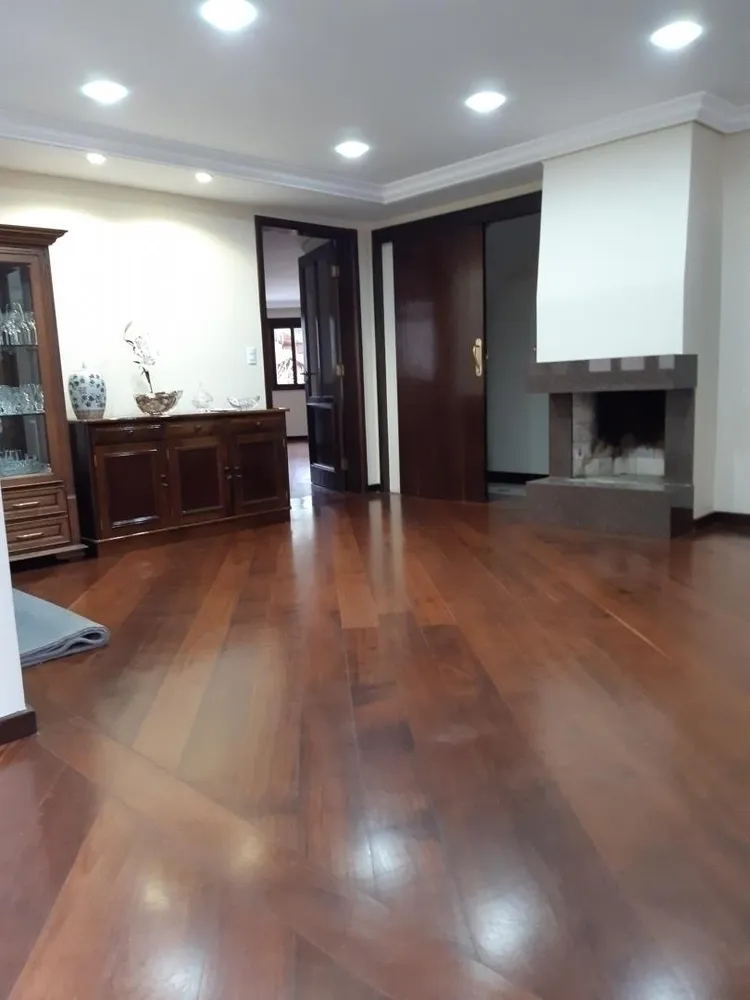 Casa, 4 quartos, 394 m² - Foto 3