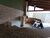 Casa, 3 quartos, 163 m² - Foto 1