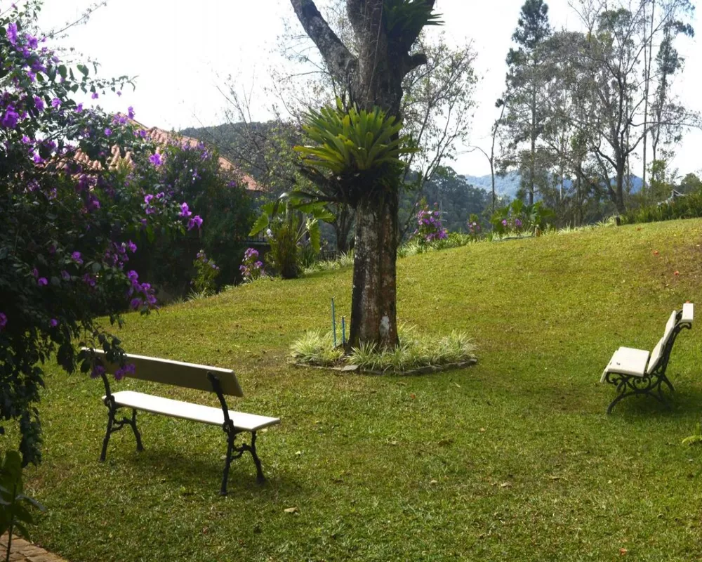 Casa, 4 quartos, 403 m² - Foto 4