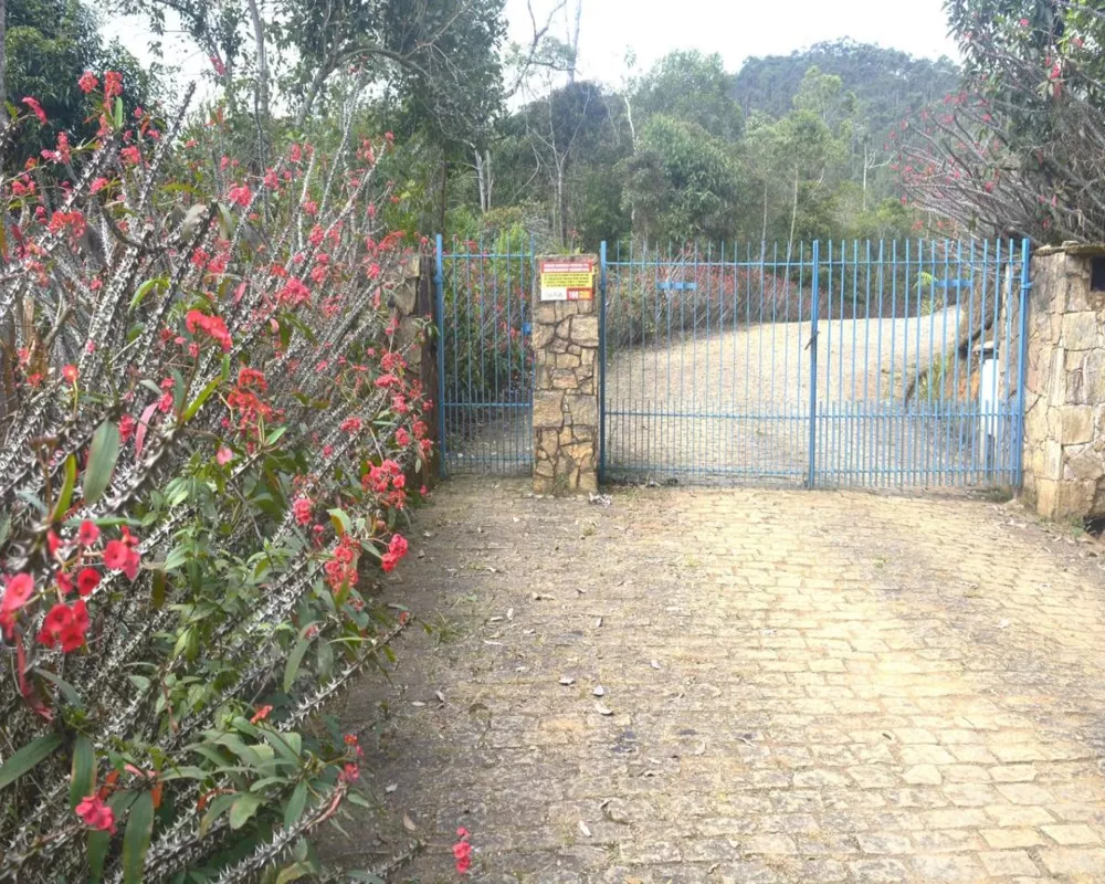 Casa, 4 quartos, 403 m² - Foto 2