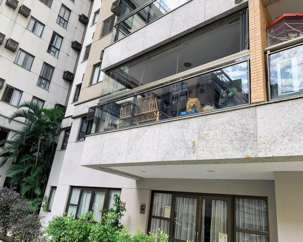Apartamento, 3 quartos, 82 m² - Foto 20