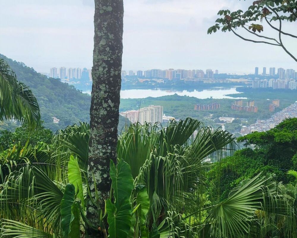 Sítio, 6 quartos, 10000 m² - Foto 1