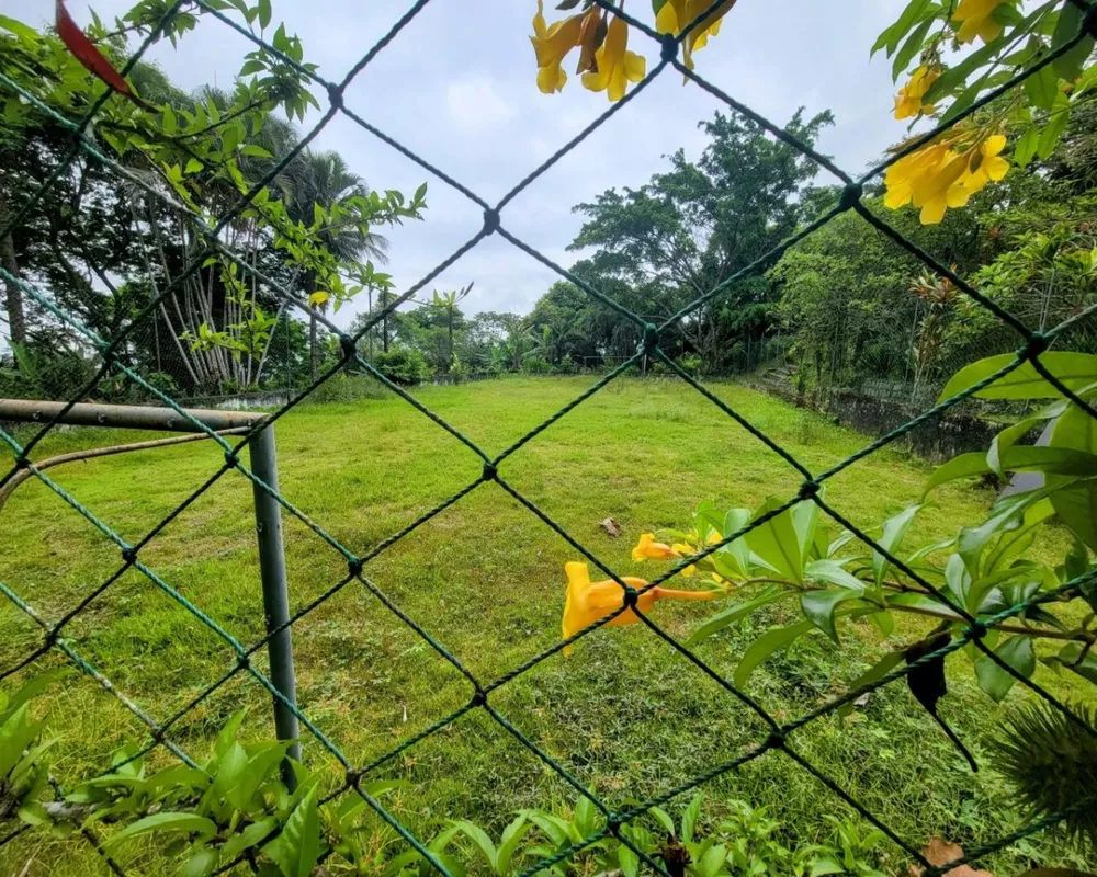 Terreno, 9 hectares - Foto 1