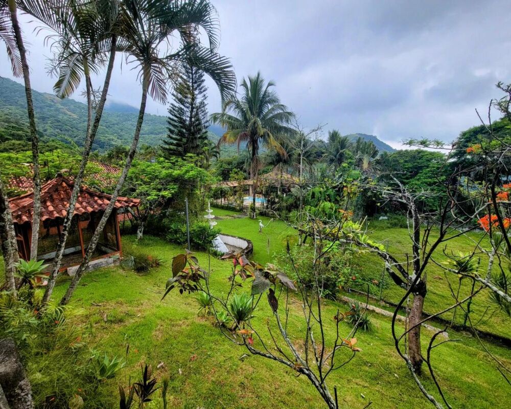 Terreno, 9 hectares - Foto 17
