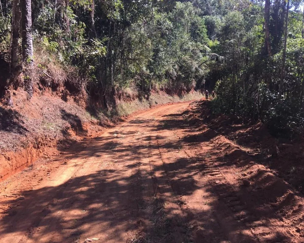 Fazenda, 250 hectares - Foto 22