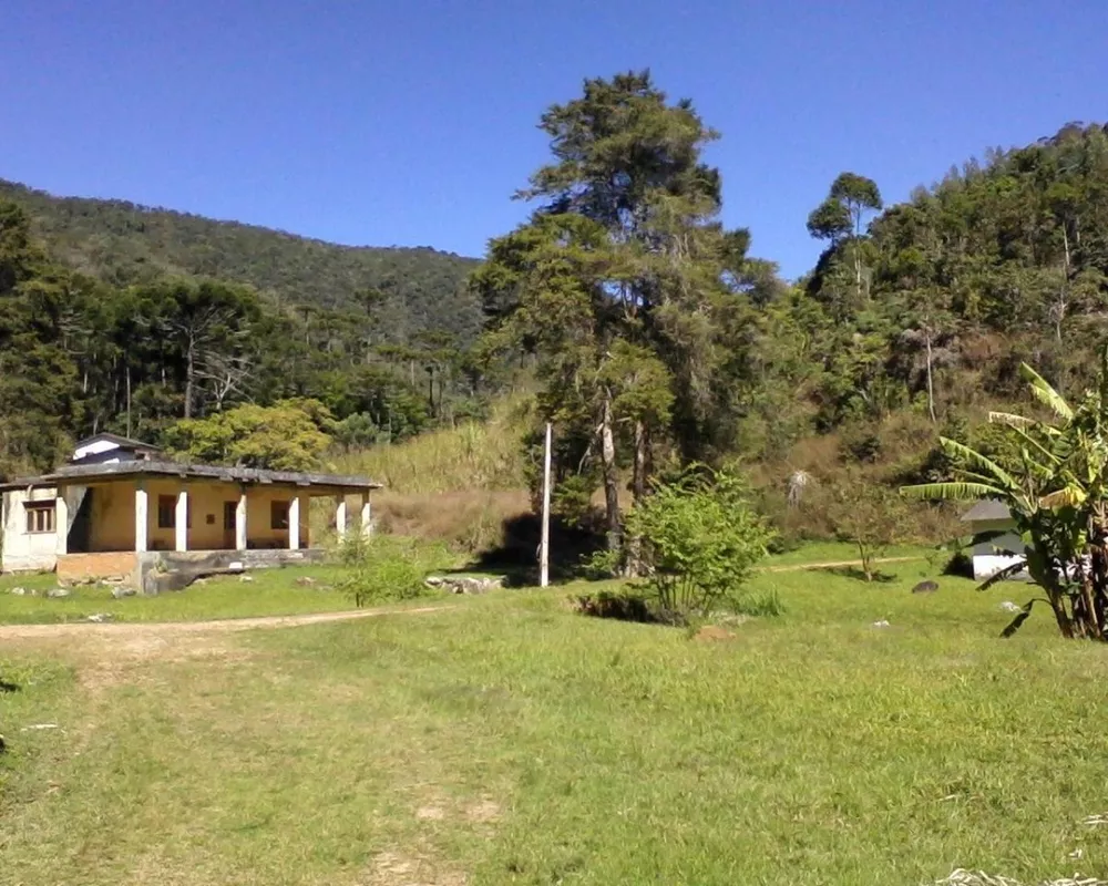 Fazenda, 250 hectares - Foto 29