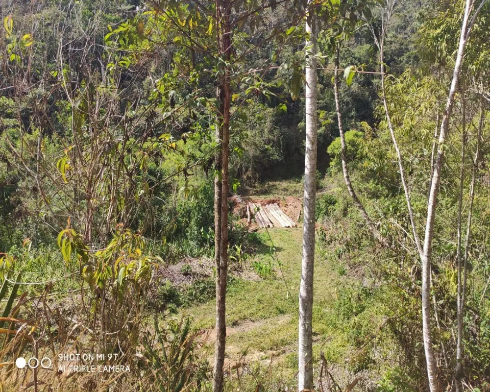 Fazenda, 250 hectares - Foto 23