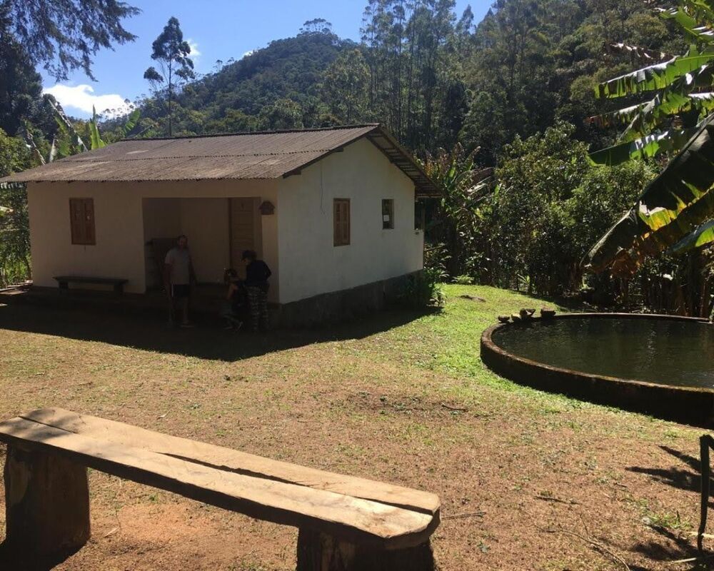 Fazenda, 250 hectares - Foto 2