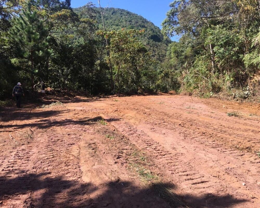 Fazenda, 250 hectares - Foto 38