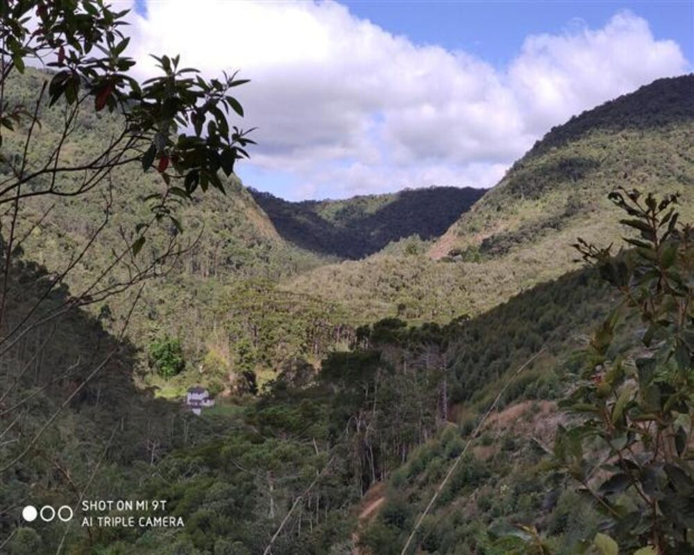 Fazenda, 250 hectares - Foto 35
