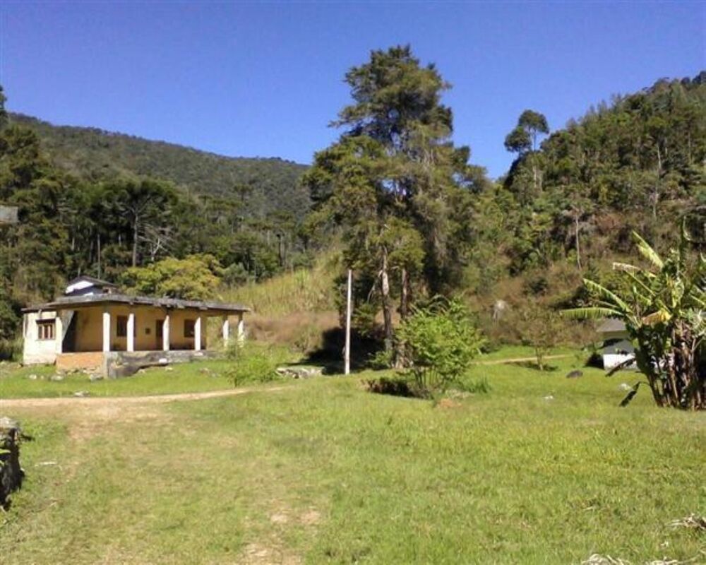 Fazenda, 250 hectares - Foto 3