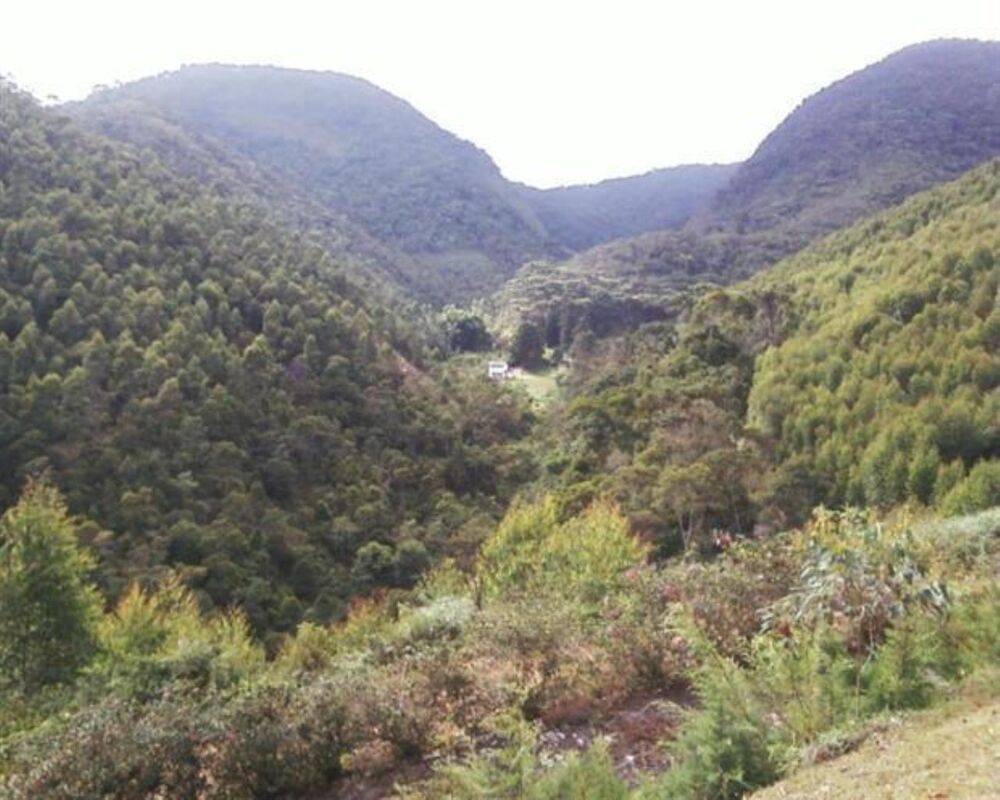 Fazenda, 250 hectares - Foto 20