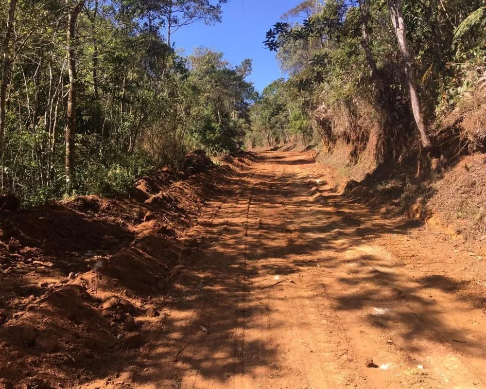 Fazenda, 250 hectares - Foto 9