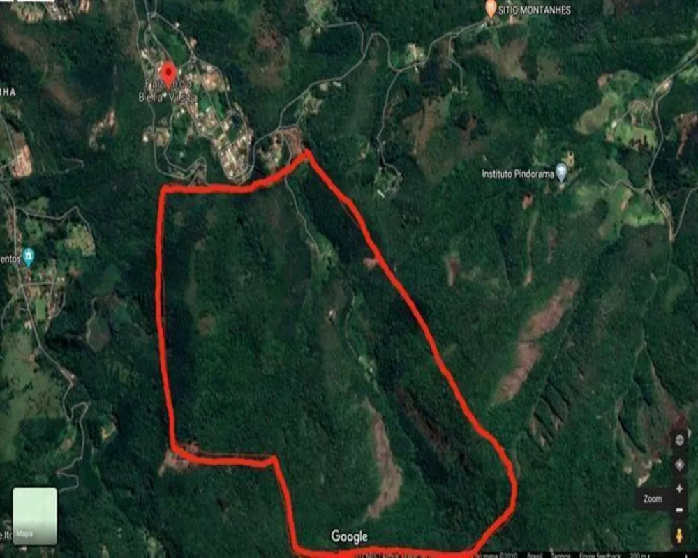 Fazenda, 250 hectares - Foto 8