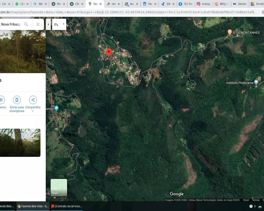 Fazenda, 250 hectares - Foto 31