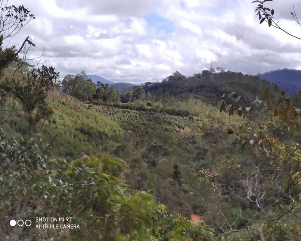 Fazenda, 250 hectares - Foto 34