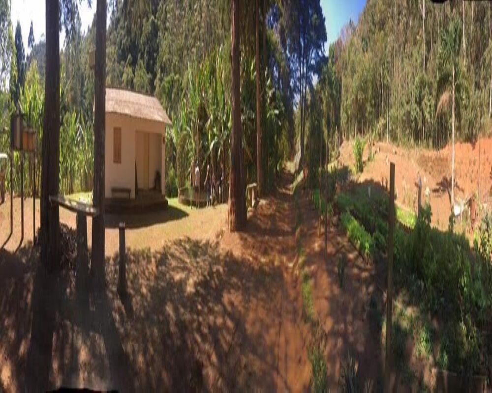 Fazenda, 250 hectares - Foto 17