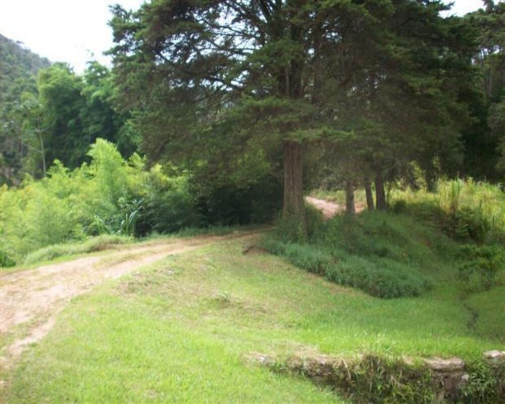 Fazenda, 250 hectares - Foto 1