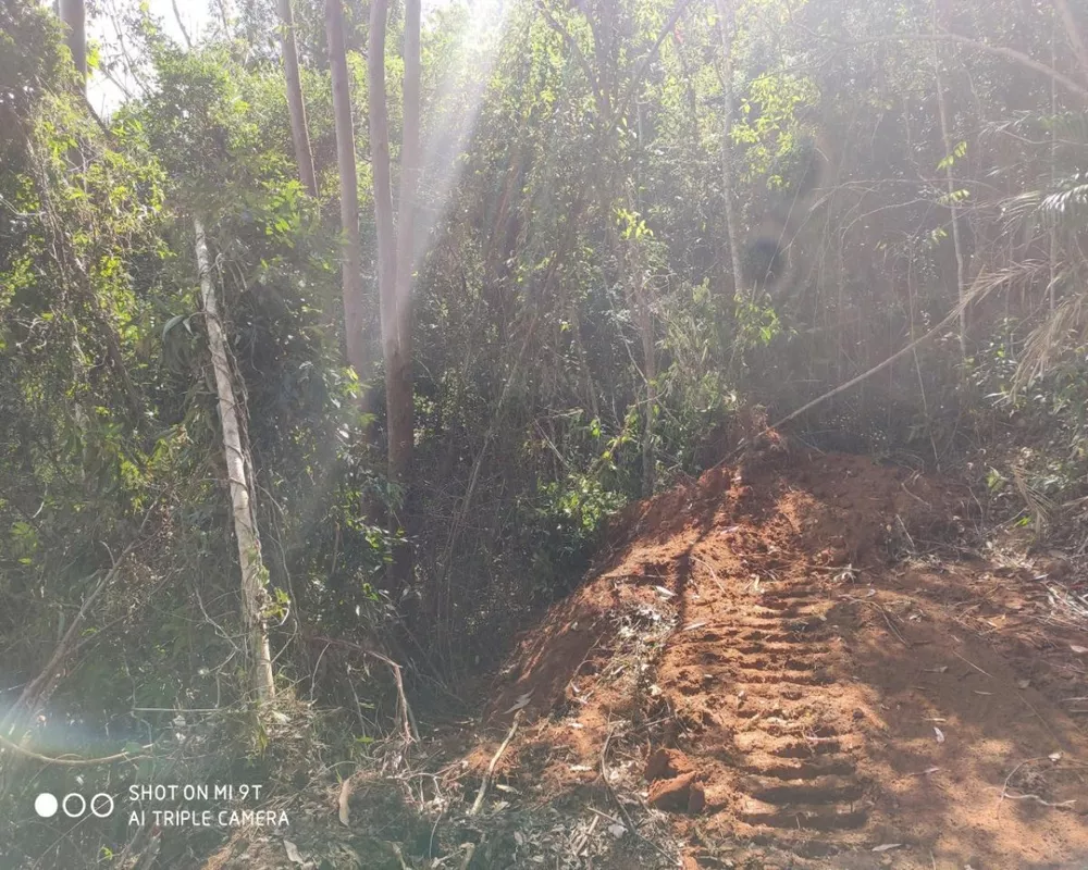 Fazenda, 250 hectares - Foto 7