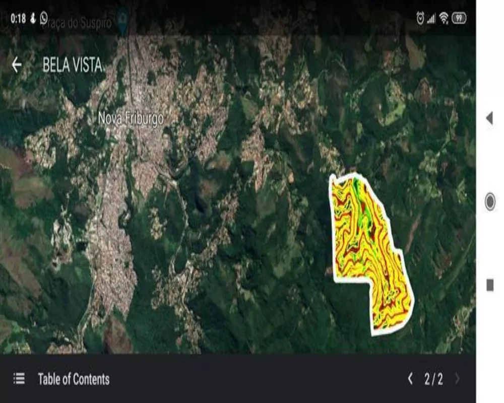 Fazenda, 250 hectares - Foto 26