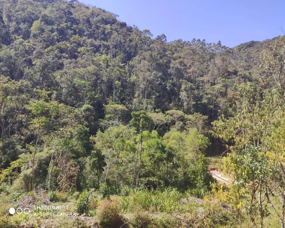 Fazenda, 250 hectares - Foto 10