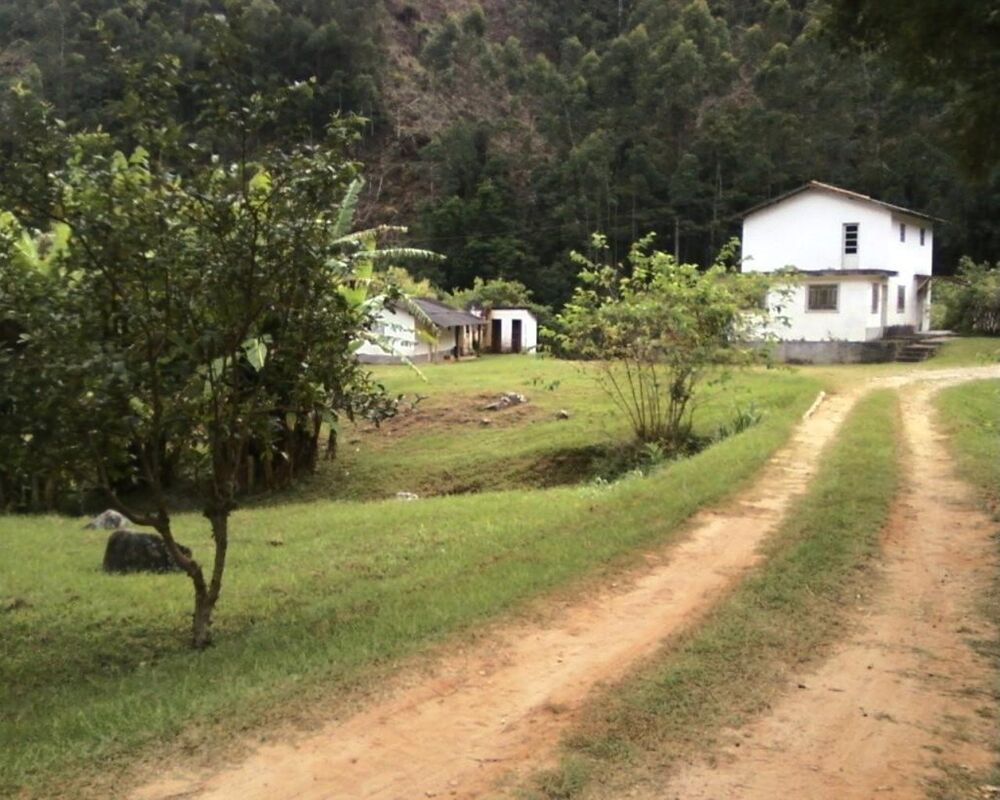 Fazenda, 250 hectares - Foto 13