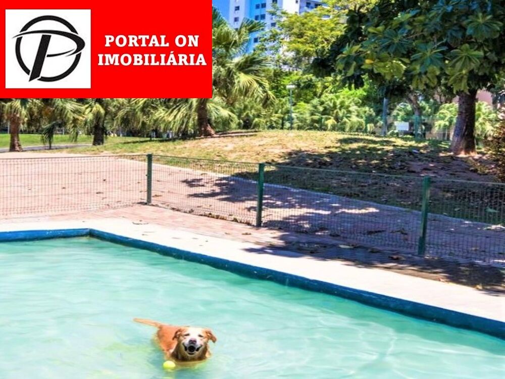 Apartamento para alugar com 3 quartos, 116m² - Foto 34