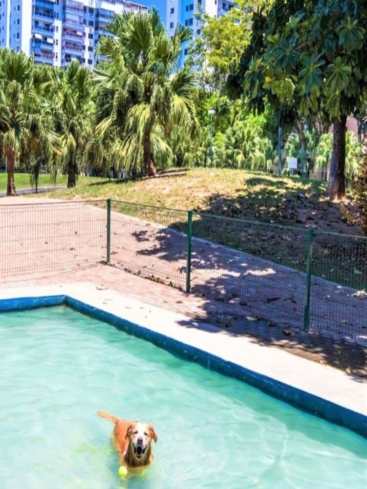 Apartamento, 3 quartos, 118 m² - Foto 31