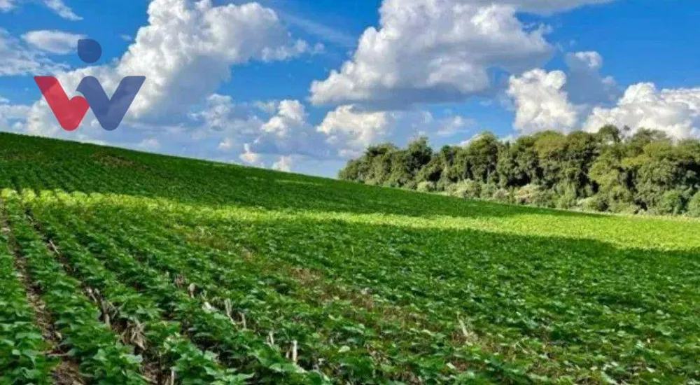 Chácara à venda, 23600M2 - Foto 3