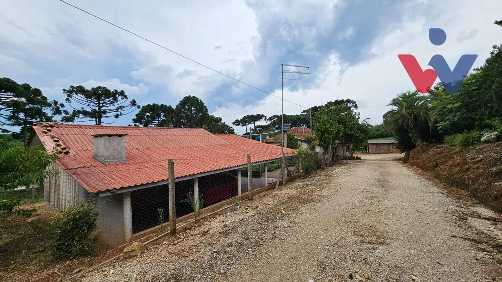 Sítio à venda com 6 quartos, 254100M2 - Foto 6