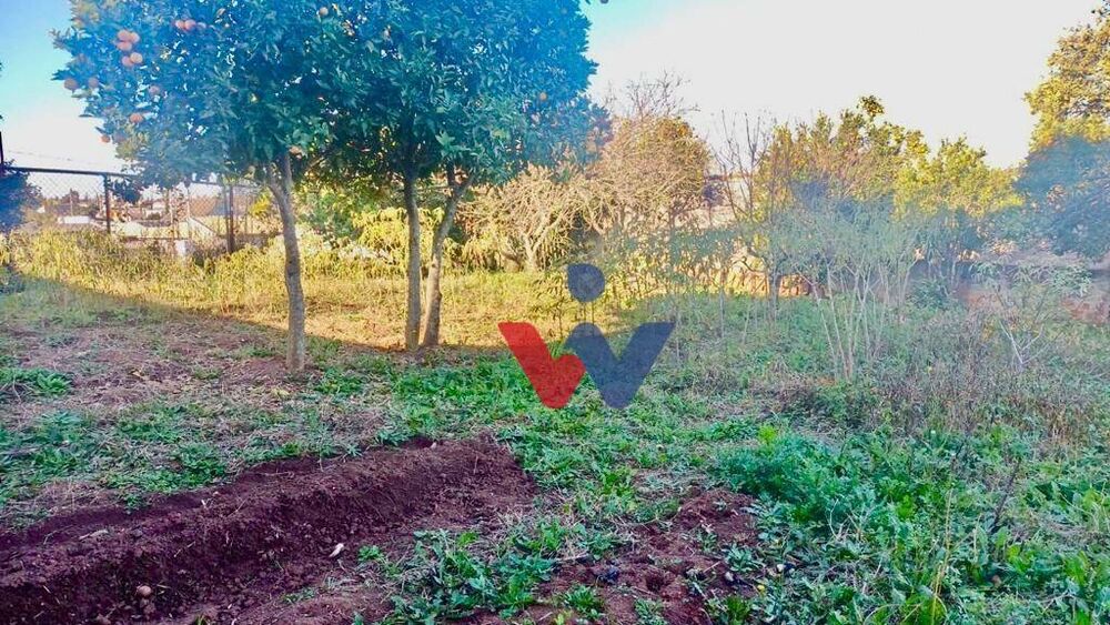 Terreno à venda, 365M2 - Foto 4