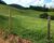Sítio, 3 quartos, 18 hectares - Foto 4