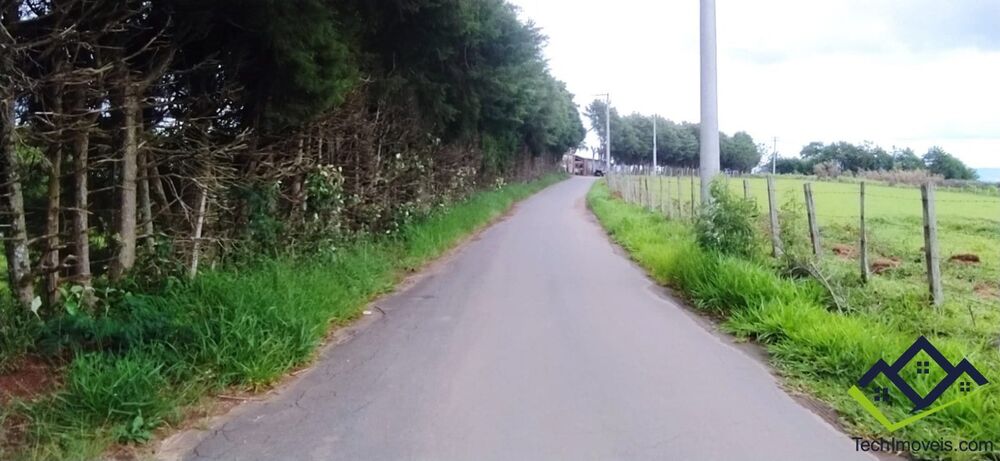 Sítio, 3 quartos, 7 m² - Foto 4