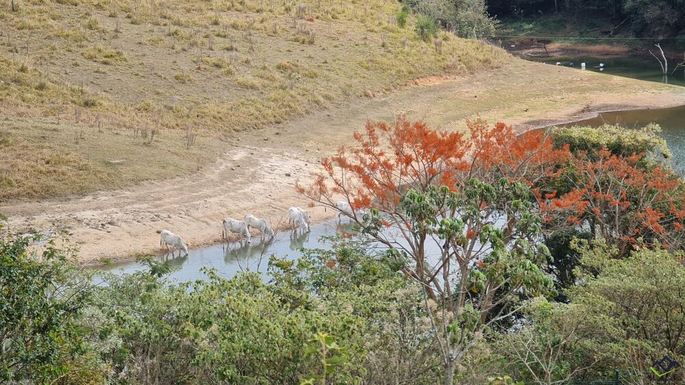 Terreno, 800 m² - Foto 5