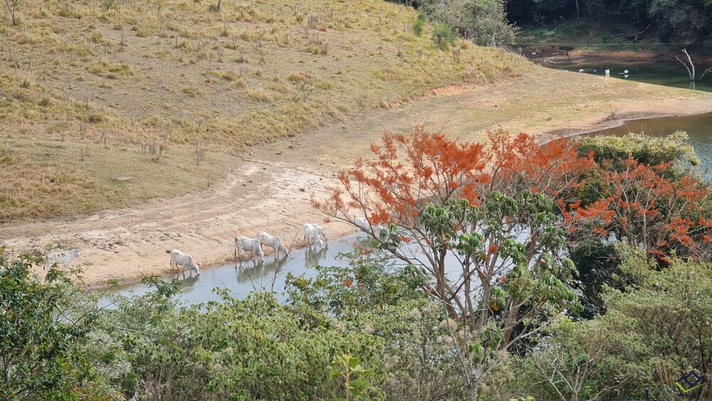 Terreno, 800 m² - Foto 6