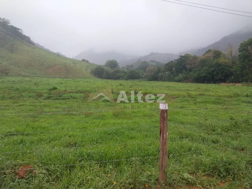 Fazenda, 226 hectares - Foto 4