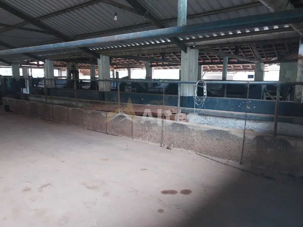 Fazenda, 226 hectares - Foto 10