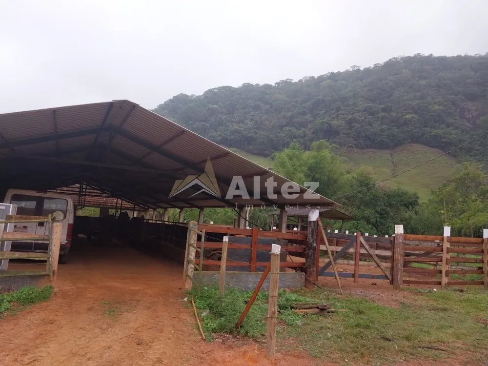 Fazenda, 226 hectares - Foto 7