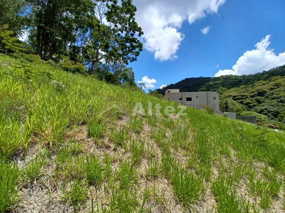 Terreno, 600 m² - Foto 5