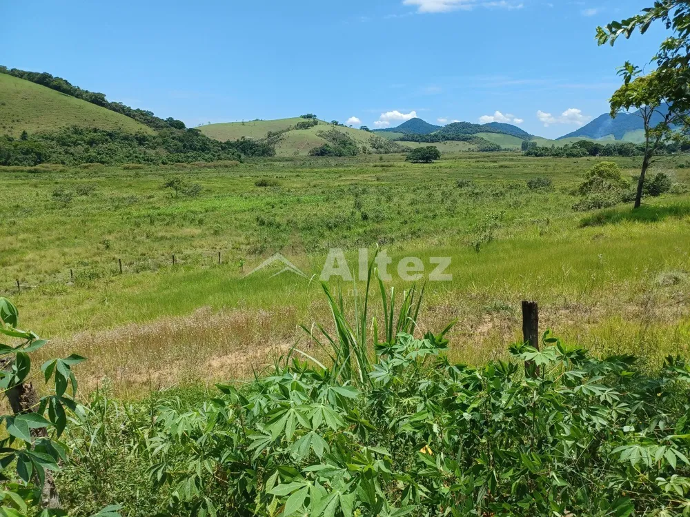 Fazenda, 409 hectares - Foto 22