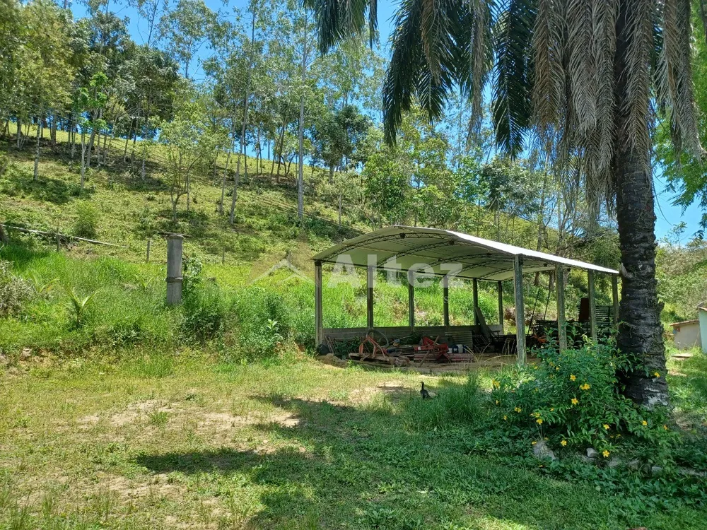 Fazenda, 409 hectares - Foto 46