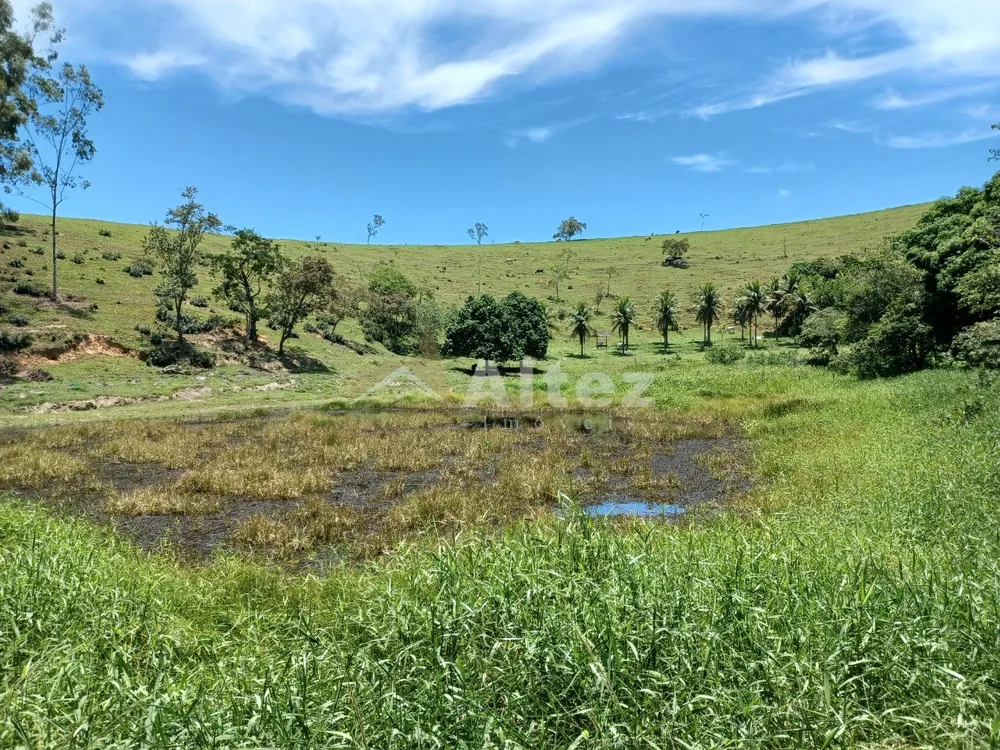 Fazenda, 409 hectares - Foto 32