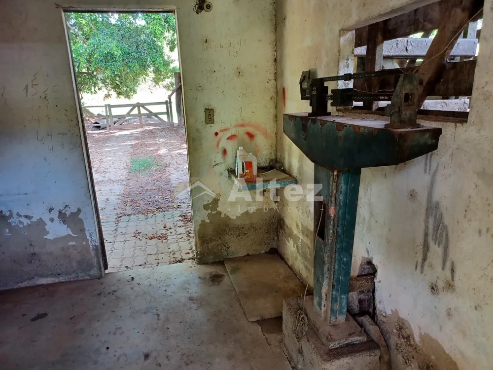 Fazenda, 409 hectares - Foto 43
