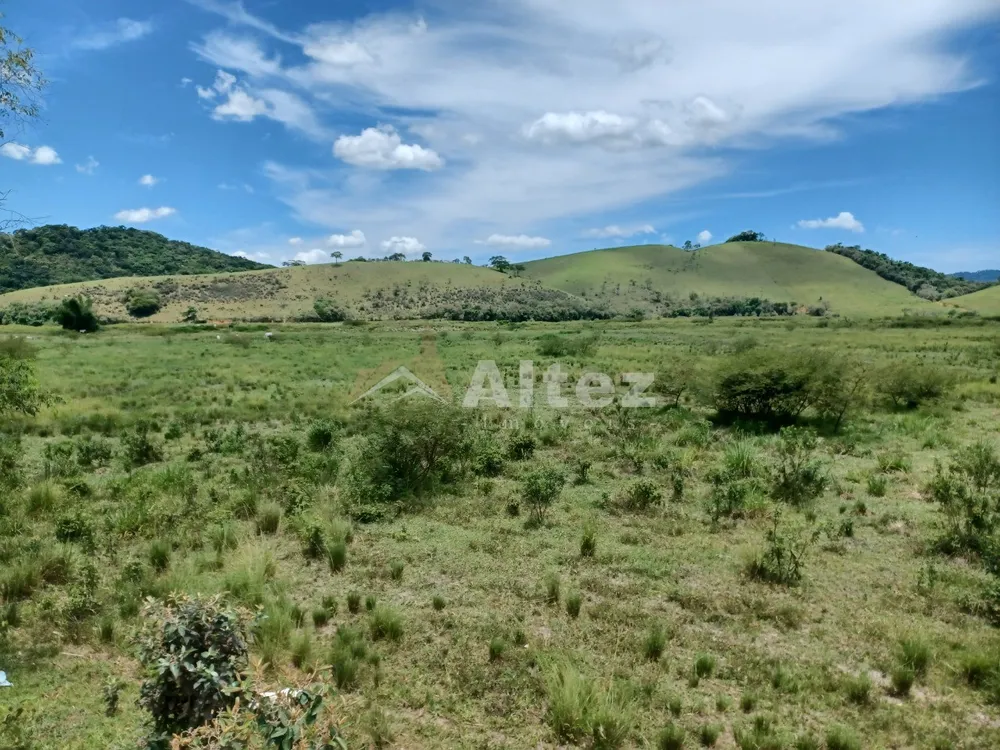 Fazenda, 409 hectares - Foto 29