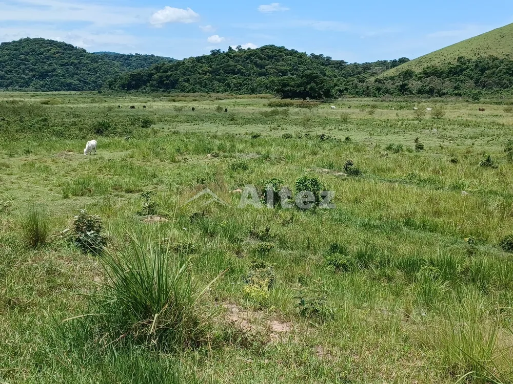 Fazenda, 409 hectares - Foto 25