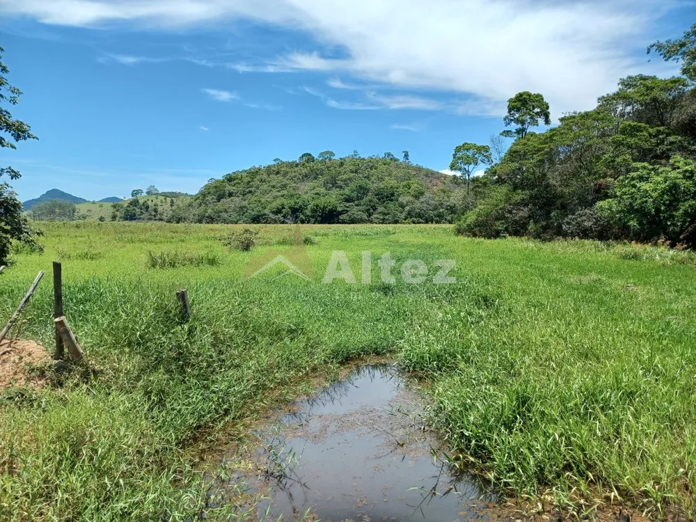 Fazenda, 409 hectares - Foto 33