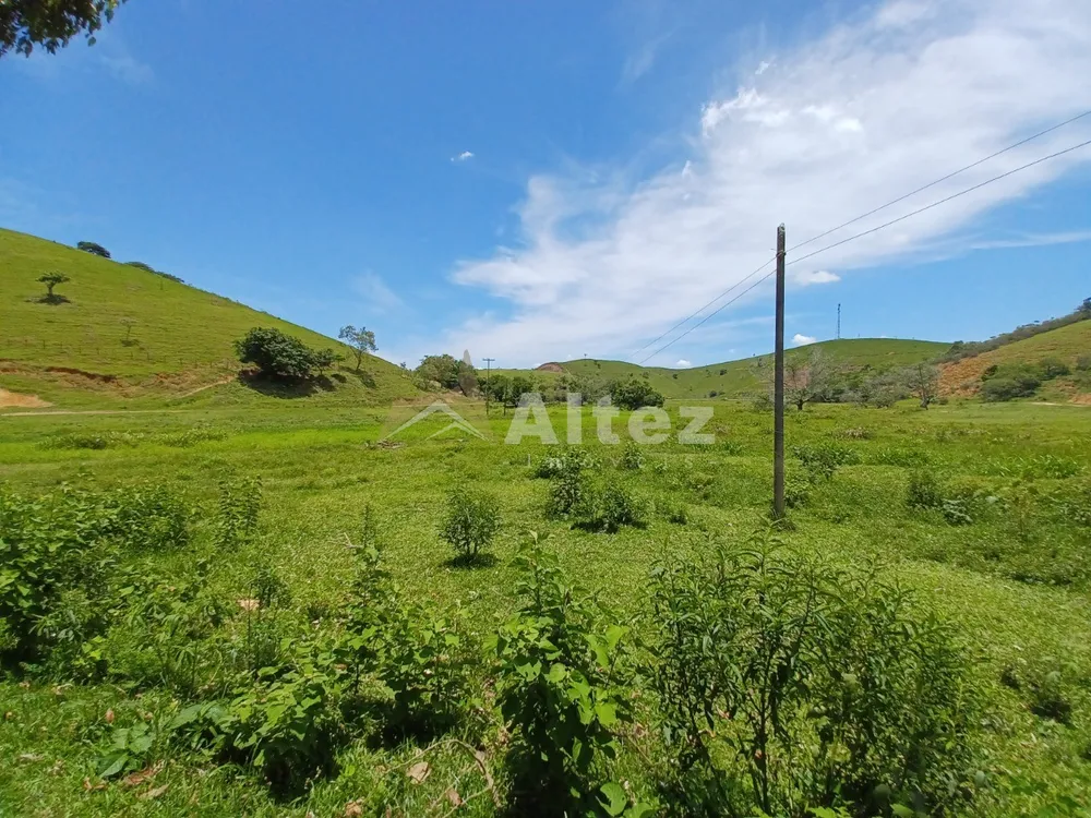 Fazenda, 409 hectares - Foto 37